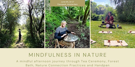 Mindfulness in Nature -Tea Ceremony, Meditation, Forest Bath primary image