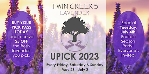 Imagem principal de Twin Creeks Lavender 4th Annual Upick 2023