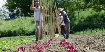 Bellezza del paesaggio e produzione agricola, un matrimonio possibile grazie a una progettazione/gestione sistemica. Primo approccio alla Permacultura Bellezza del paesaggio e produzione agricola, un matrimonio possibile grazie a una progettazione/gestione sistemica. Primo approccio alla Permacultura
