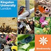Kingston University Biodiversity Action Group's Logo