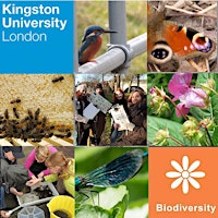 Kingston+University+Biodiversity+Action+Group