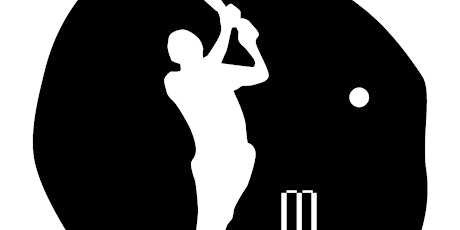 Kwik Cricket, mixed primary image