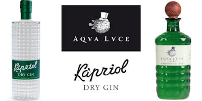 Masterclass gin Aqva Lvce e Kapriol Dry gin (Beniamino Maschio) Masterclass gin Aqva Lvce e Kapriol Dry gin (Beniamino Maschio)