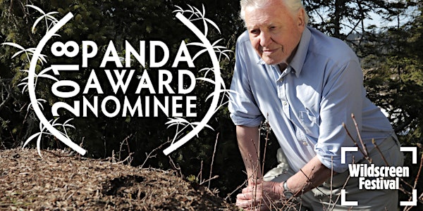 Attenborough's Ant Mountain + Q&A