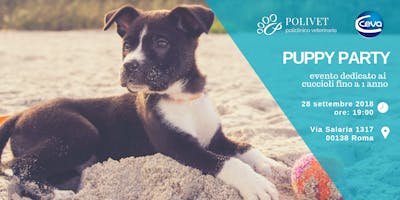 Puppy Party Puppy Party