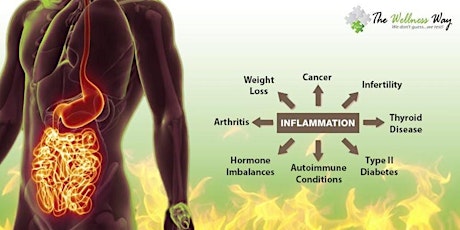 Exemplify Health's Approach to Inflammation  5/18/2023