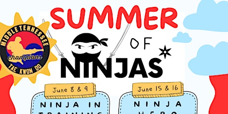 Summer of Ninjas Summer Camps