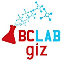 GIZ Blockchain Lab
