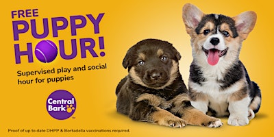 Imagen principal de Free Puppy Hour