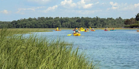 Kayaking on the Little River Estuary