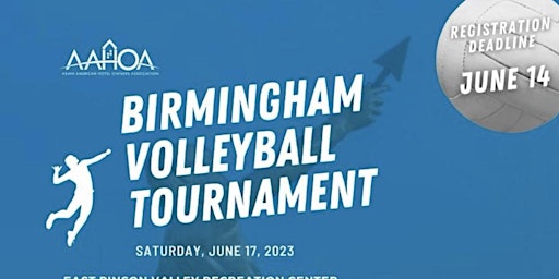 Birmingham Volleyball Tournament primary image