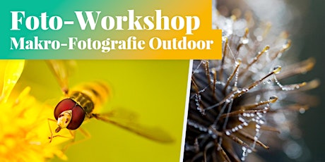 Foto-Workshop: Makro-Fotografie Outdoor