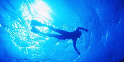 Https%3a%2f%2fcdn.evbuc.com%2fimages%2f49311182%2f21819895526%2f1%2foriginal