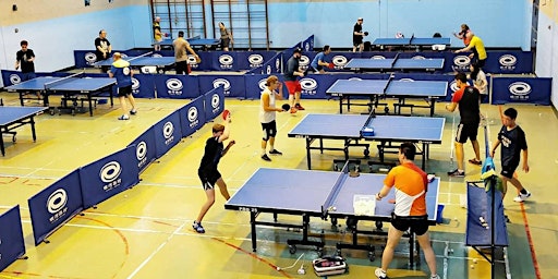 Table Tennis Adult Class primary image