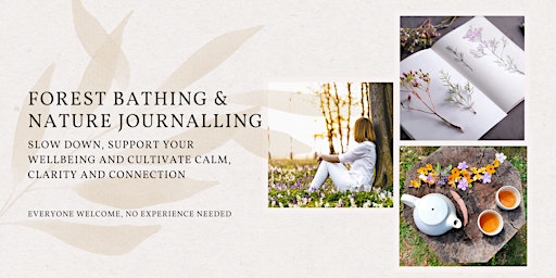 Forest Bathing and nature journaling experience primary image