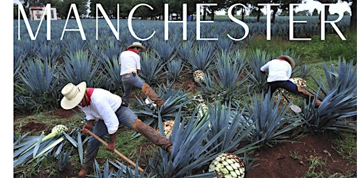 Imagem principal de Tequila Journey Manchester