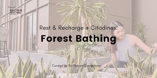 Rest & Recharge with Forest Bathing (various Citadines properties) primary image