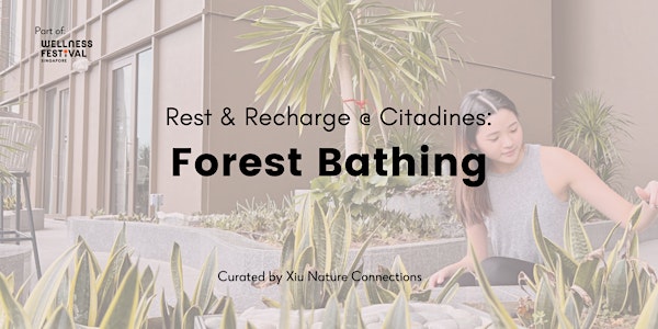 Rest & Recharge with Forest Bathing (various Citadines properties)