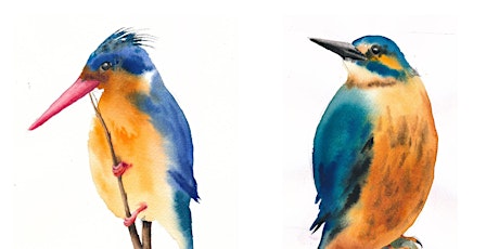 Unleash Your Inner Artist: Watercolour Class (Birds)