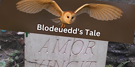 Blodeuedd’s Tale - Steph Bradley