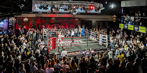 Imagem principal do evento Tribute Boxing Fight Night 11 - Friday May 24th 2024