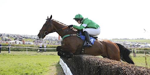 The 2024 OBH Point-to-Point at Lockinge Racecourse primary image