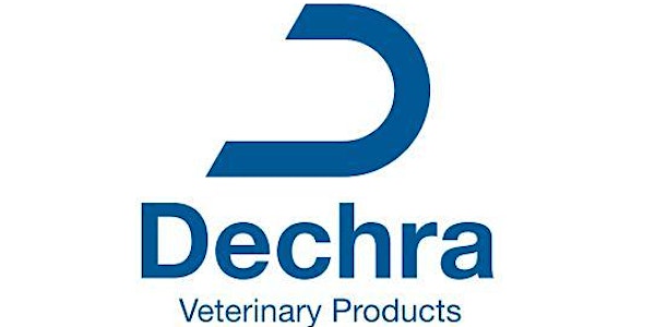 Veterinary CE Program for Companion and Equine Practitioners - Jackson 10/27/18