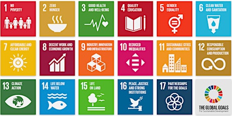 Image principale de The Sustainable Development Goals: Origins, Context, and Perspectives