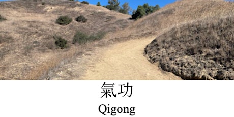 Medical Qigong: Five Yin Organs
