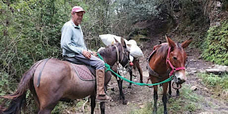 Imagen principal de Caminant amb mules