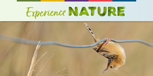Experience Nature - Bird Walk with Professor Hugh Possingham primary image