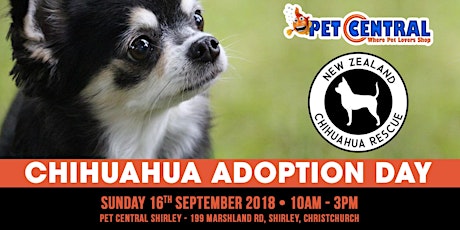 Chihuahua Adoption Day primary image