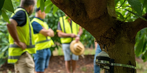 Getting Hands-on with Sensors: A Practical Workshop for Growers primary image