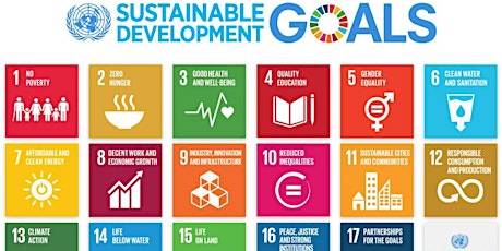 UN Sustainable Development Goals and your Business  primary image