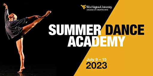Summer Dance Academy primary image