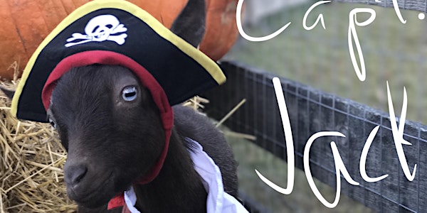 Goat Yoga Nashville- Halloween Spooktacular
