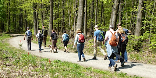 Hauptbild für Walk & Talk – Singlewanderung mit Single-Coaching: Ettlinger Linien (30+)