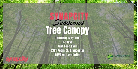 Imagen principal de Synapcity Sessions Spotlights Ottawa's Tree Canopy