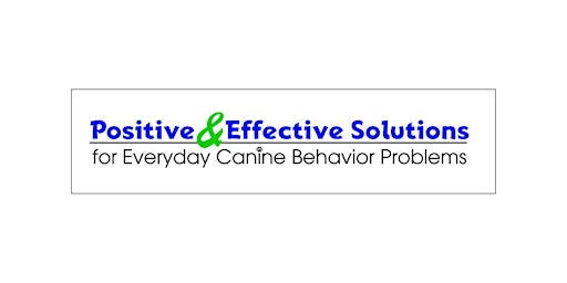 Positive and Effective Solutions To Everyday Behavior Problems primary image