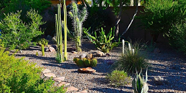 Planning and Planting Your Xeriscape Garden