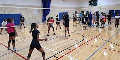 2024 Detroit Summer Girls  Volleyball League primary image