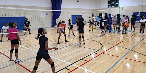 Imagem principal do evento 2024 Detroit Summer Girls  Volleyball League