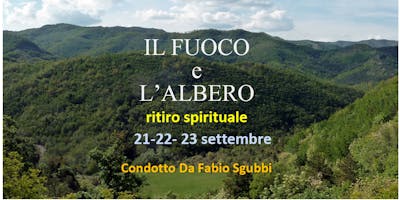 Il fuoco e l'albero Il fuoco e l'albero