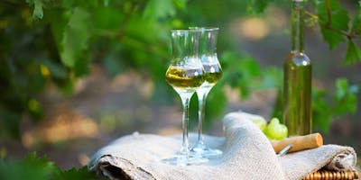 Grappa Tour&Tasting nel Monferrato