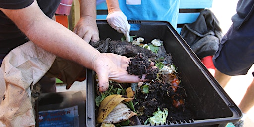 Free Online Composting and Worm Farming Workshop- Introducing Black Gold primary image