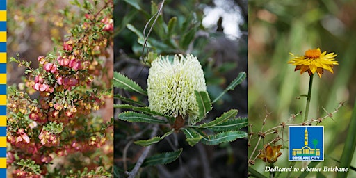 Unique Australian Flora - Special Guided Walk - Brisbane Botanic Gardens primary image
