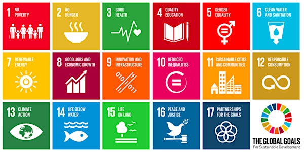The UN Sustainable Development Goals & VIU