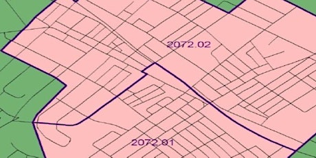 Census 2020 Participant Statistical Area Program Workshop primary image