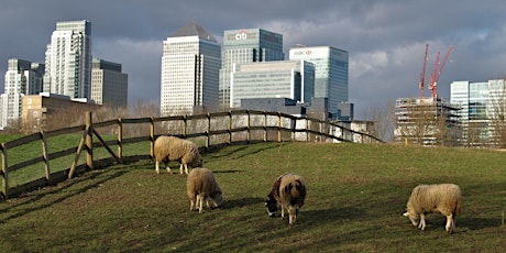 Imagen principal de A Rubbish Trip: Isle of Dogs and Greenwich guided walk, 30 September 2023