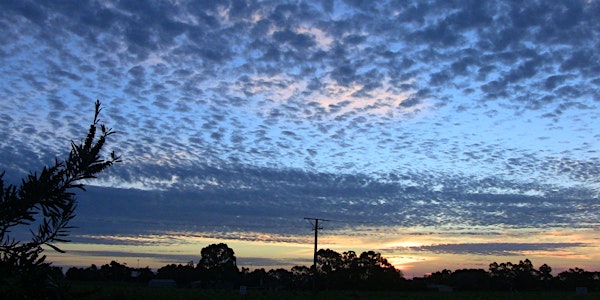 Australian Landscape - a concert in the round